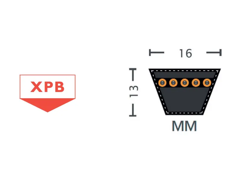 XPB Cogged narrow V-belts~8.jpg